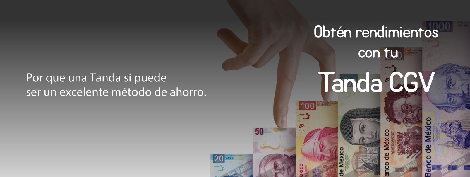 tanda cgv