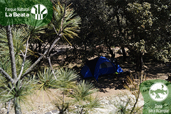 ZON_ACM_01 acampar cgv