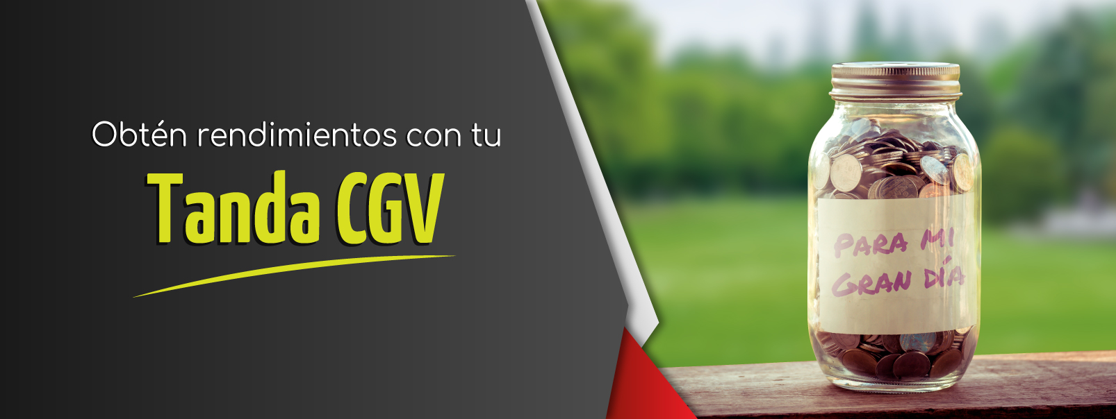 TandaCGV_Formulario-v02 contacto cgv