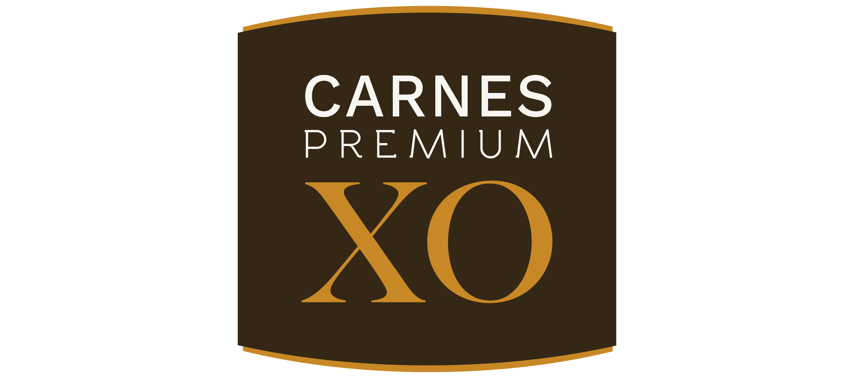 logo-carnesxo optica cgv