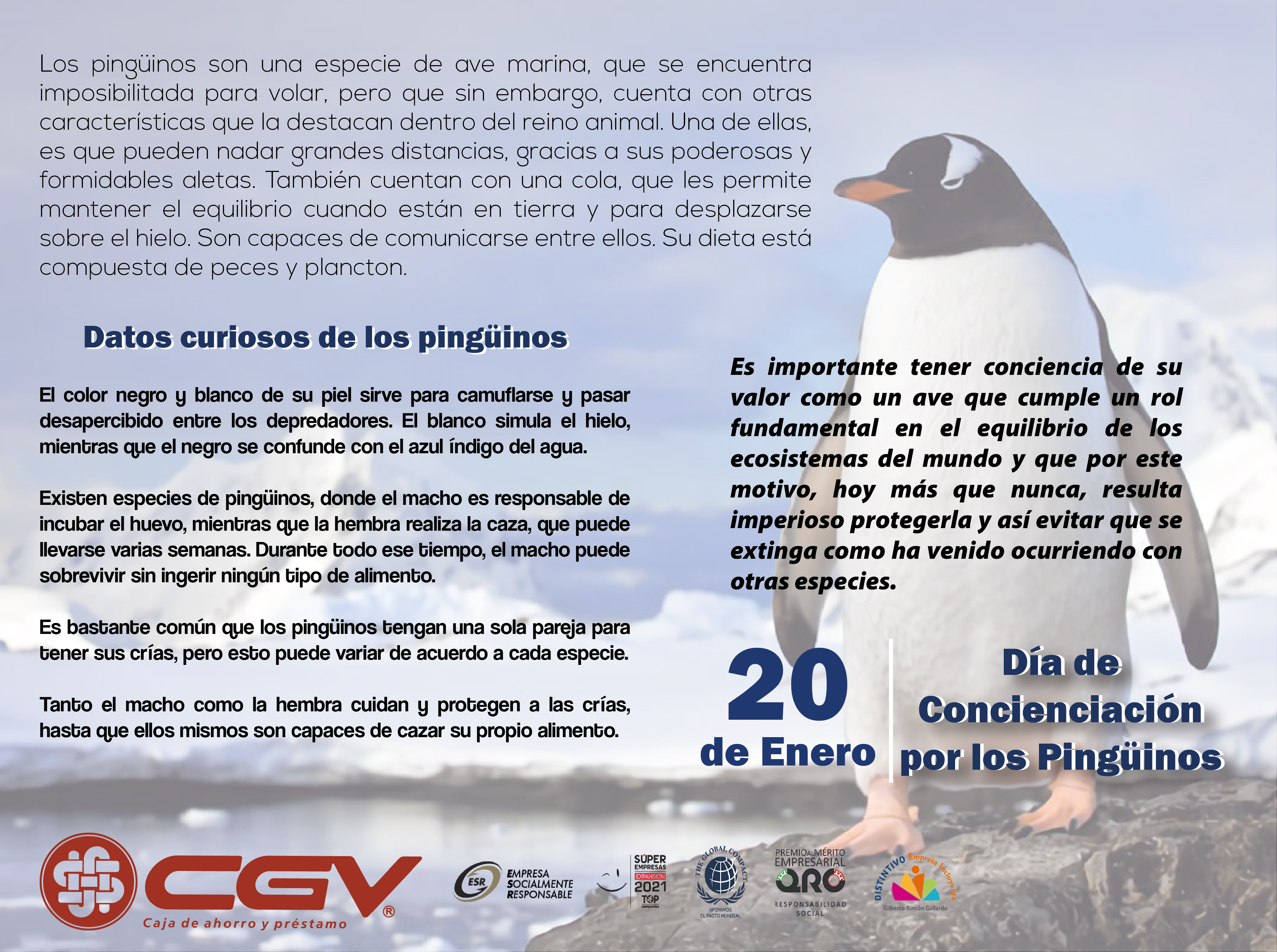 Día de la concienciación de los Pingüinos